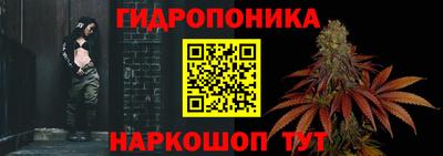spice Пенза