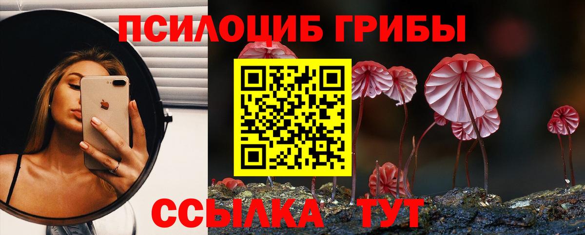 Псилоцибиновые грибы мицелий Озёры