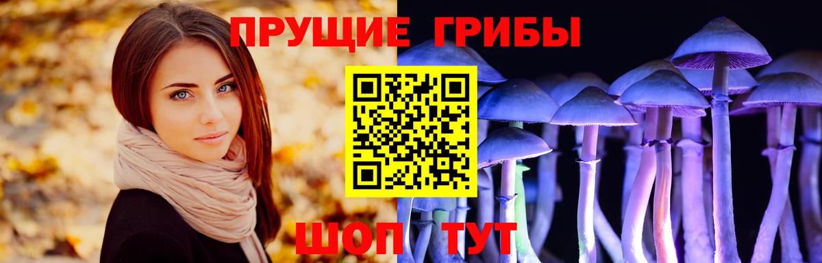 купить  цена  Вход с VPN  Озёры  Галлюциногенные грибы мухоморы 